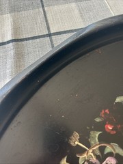 Antique Victorian Oval Black Tole Tray Hand Painted Floral Metal 24” Vtg Patina