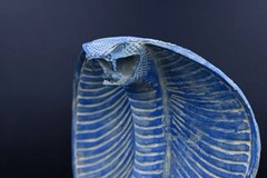 Authentic Ancient Egyptian Antiques Cobra Statue Of Protection Goddess Egypt BC