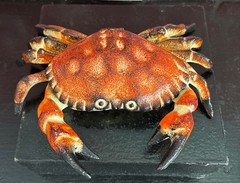 Unusual Realistic Large Heavy Cast Iron Crab Trinket Box 8.5” Long