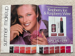 Vintage AVON 1981 SALES CATALOG BROCHURE (Campaign 16) ~ Large Format/ No Label