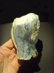 Lower Paleolithic – Finely worked Acheulean side scraper. c.450,000 BP.