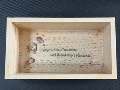 Hallmark Marjolein Bastin Nature’s Sketchbook Cardinal Birds Trinket Box 1990s