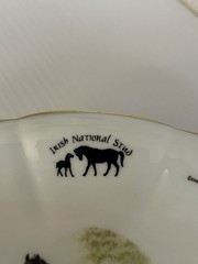 Equestrian Royal Tara Trinket Soap Dish Scalloped Horse Race Galway Ireland
