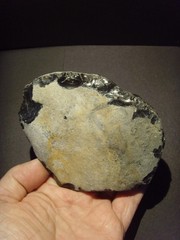 Lower Paleolithic – Large Acheulean ovate scraper. c.450,000 BP.