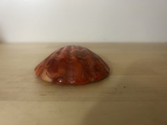 Vintage Akro Agate? Seashell