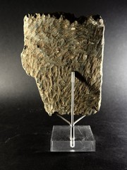 SCARCE, ANCIENT ASSYYRIAN STONE CARVED FRAGMENT DEPICTING RULER CA 1300-900 BCE