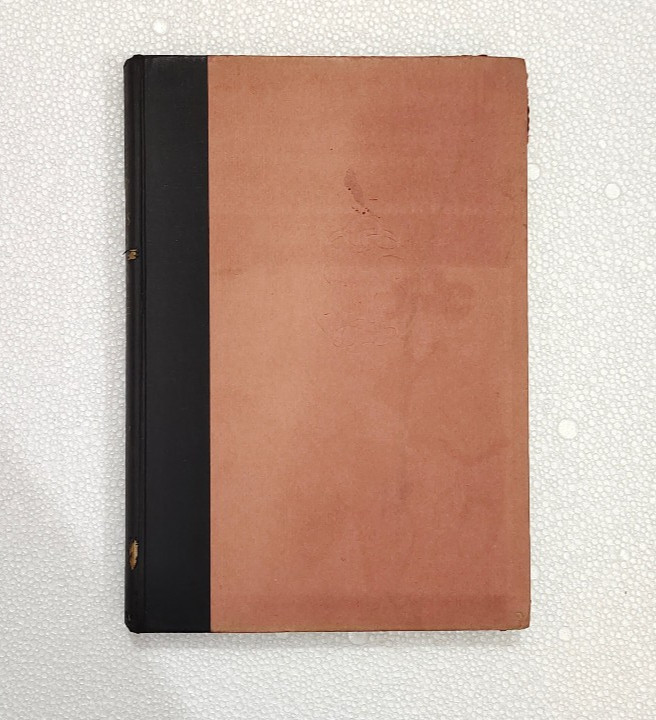 Modern Prints & Drawings: A Guide to a Better Understanding of Modern Draughtsma