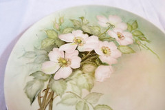 Wild Roses Flower Porcelain Plate Platter 9″ Hand Painted Artist Sampler