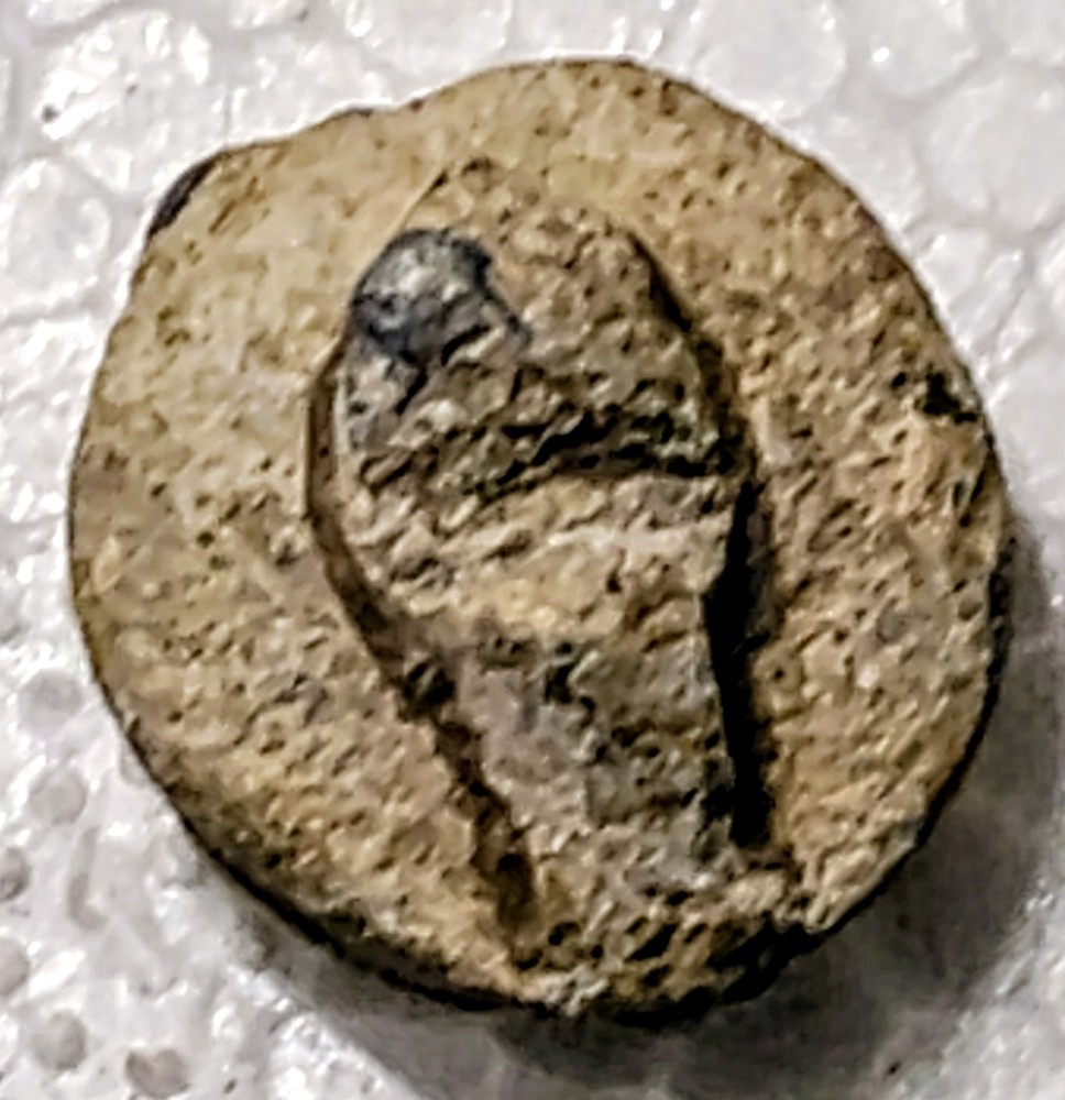 Roman Seal