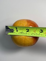 Vintage Alabaster Fruit Peach Apricot Exposed Pit Seed w/ Wood Stem