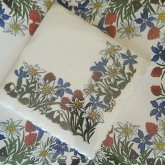 Rare Swiss WIDA Paper Vintage Serviettes & Swiss Placemats 25 Floral 2 Packs