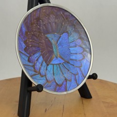 Vintage Iridescent Blue Purple Morpho Butterly Wing Small Wall Plate Morpho Art