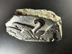SCARCE ANCIENT N-EASTERN BLACK STONE RELIEF FRAGMENT OF 3 RAMS & MONKEY 498 GRAM