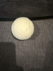 Supreme Tennis Ball (1) SS18