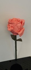 Gothic Skull Rose 3d Printed Gift Perfect Wedding Or Friend Halloween Present