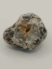 Natural Dalmatian Stone Raw Jasper rock perfect for mineral healing
