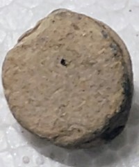 Roman Seal