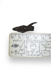 Ancient Roman Bronze Arrowhead 1st – 2nd century AD.
