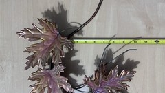 MCM Vintage Copper Metal and Brass Maple Leaf Spray Wall Hanging 21 x12