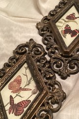 Pair Of Vintage Burwwod Or Homco Butterfly Wall Plaques 1970/1980