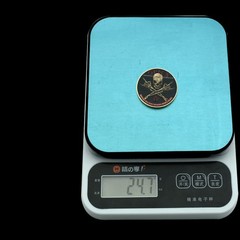 Gen X Challenge Coin 1965-1980 Badass Skull Collectible Gift