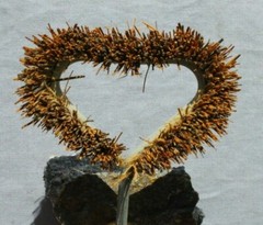 2 vintage heart shaped brushes with wooden handles for crafts or display COUNTRY