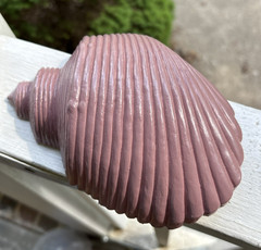 Vintage Mauve Pink Bathroom Wall Decor Seashells Art Burwood 1980s Conch Shell