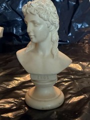 Vintage Neoclassical Grand Tour 7 Pc Bust Set