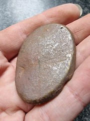 Post Medieval / Georgian Horse Harness Mounts Metal Detecting Find Antique (40)