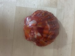 Vintage Akro Agate? Seashell