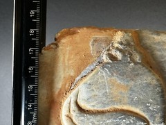 DETAILED ANCIENT N-EASTERN STONE FRAGMENT DEPICTING WINGED GENIE C 800-700 BC