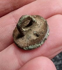 Tudor Rose Button 17th Century Post Medieval Metal Detecting Find Antique (10)
