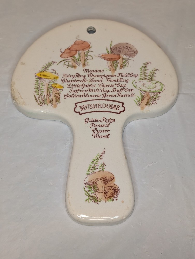 Mushroom Ceramic Wall Decor/Spoon rest Avon Hand-Painted 1980 Mushroom Shrooms