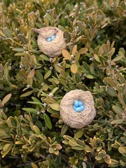 MARJOLEIN BASTIN Hallmark Bird Nest Clip Pair, Blue Eggs Ornaments Vintage, NEW