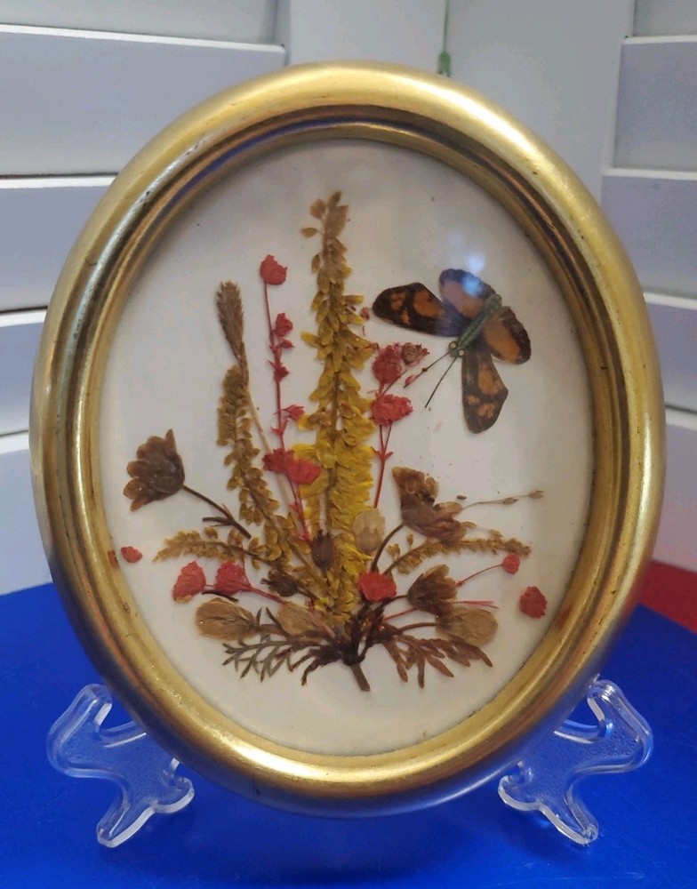VTG Reichlin Switzerland Pressed Flower Butterfly Art Gold Oval Frame H Kirsch