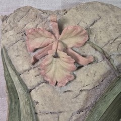 Home Interiors Floral Resin Relief Wall Decor Wall Art Iris