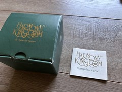 Vintage Harmony Kingdom Bamboozled Panda Trinket Box United Kingdom