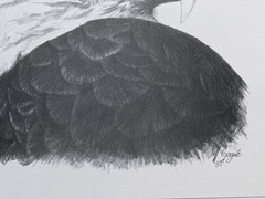 Jeff Gogue Signed Eagle Lithograph Print Rare Hand Numbered Art Isaiah 40:31