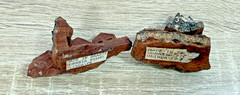 Vintage Brazilian Bark Wood Carvings 4pc Correia Filho Folk Art 1970s Figures