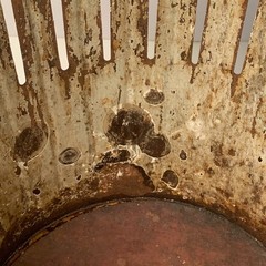 Antique Erie Art Metal Co. “dan-dee” Trash Can | Vintage Industrial Steel Waste