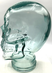 Aqua Blue Life-Size Glass Human Skull Mannequin Head Halloween Horror Goth Jar