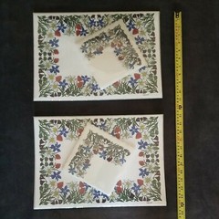 Rare Swiss WIDA Paper Vintage Serviettes & Swiss Placemats 25 Floral 2 Packs