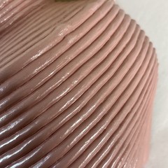 Vintage Mauve Pink Bathroom Wall Decor Seashells Art Burwood 1980s Conch Shell