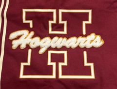 Harry Potter Hogwarts Collegiate Tote Bag NWT
