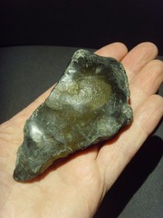 Lower Paleolithic – Fine Acheulean oblique end scraper. c.450,000 BP.
