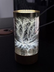 Litchenberg Figure 2” x 3” Cylindrical Acrylic (Engraving Available)