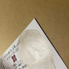 Vampire Knight Shuriken & Pleats Vol 1 Anime Bonus Illustration 14+