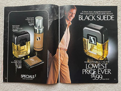 Vintage AVON 1981 SALES CATALOG BROCHURE (Campaign 16) ~ Large Format/ No Label