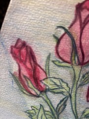 Watercolor Original Painting By Sally Harrison Roses Size 12”x9” Unframed