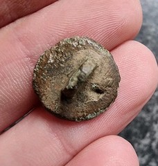 Tudor Rose Button 17th Century Post Medieval Metal Detecting Find Antique (10)